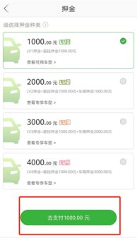 共享汽车会员费用多少